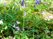 plaisir raconter images