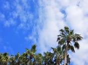 Marseille Cannes cœur Tour Auto Optic 2000