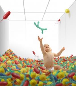 MICROBIOTE INTESTINAL: Comment chez l'enfant il détermine l'immunité – Cell