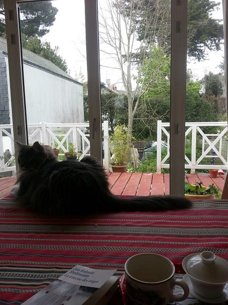 Fin de la pause iodée