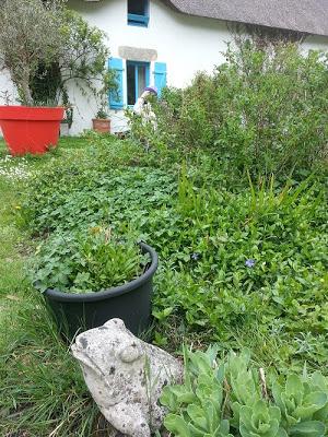 Fin de la pause iodée