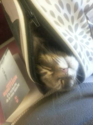 Fin de la pause iodée