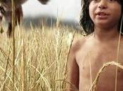 livre jungle version 2016: m'en faut plus pour être heureux??