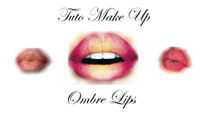 Ombre Lips Ellia Rose
