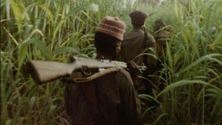 Afficher l'image d'origine