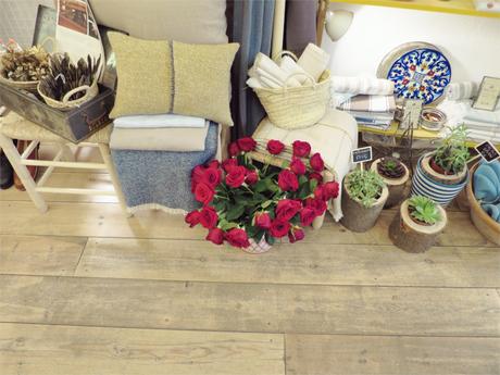 Bon vent - Barcelona