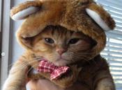 4/5/2016 pourquoi souvient-on trucs inutiles