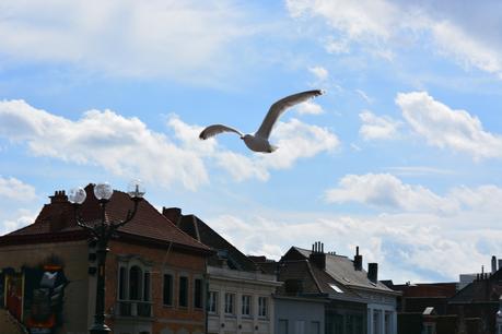 Postcard from Gent Postcard from Gent