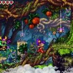 Shantae : Risky's revenge (DSi)