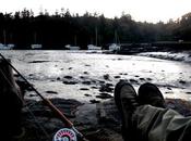 L’estuaire dort encore