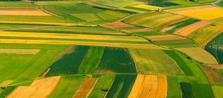 Comment l’accord de libre-échange Tafta pourrait laminer l’agriculture européenne Comment l’accord de libre-échange Tafta pourrait laminer l’agriculture européenne