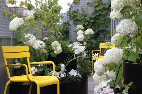 Des chaises jaunes pour pimper son jardin, terrasse,...