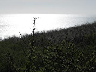 Souvenirs de la Manche