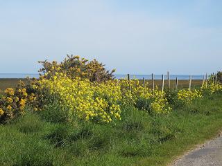 Souvenirs de la Manche