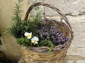 Simple life Provence