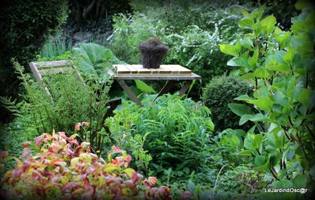 Petit tour au jardin...