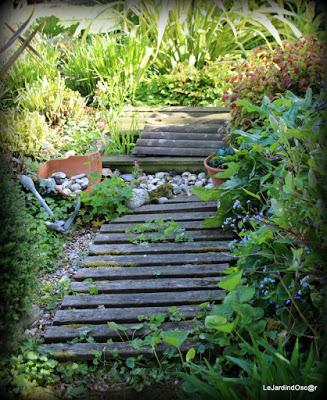 Petit tour au jardin...