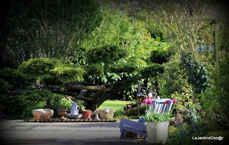 Petit tour au jardin...