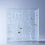 DESIGN : Les aquariums de Haruka Misawa