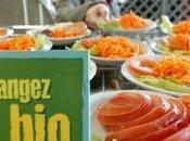 Rochelle plateforme numérique pour relier cantines petits producteurs