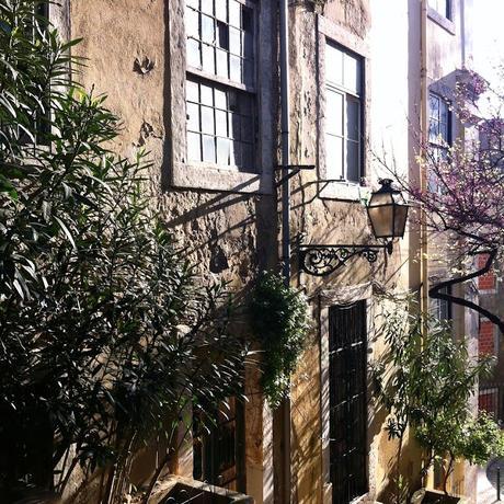 MYSTERES DE LISBONNE...PAR HAYLEY