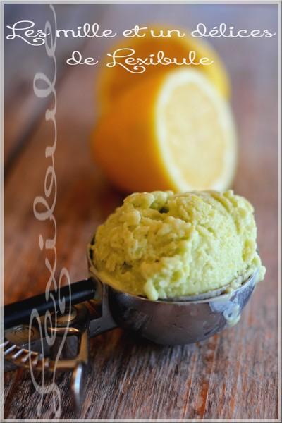 ~Sorbet à l'avocat et au citron~