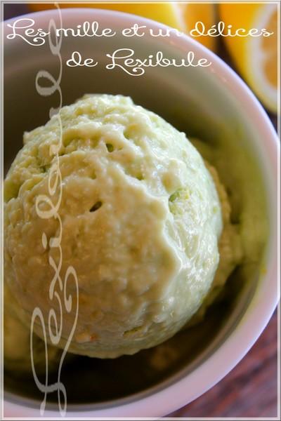 ~Sorbet à l'avocat et au citron~