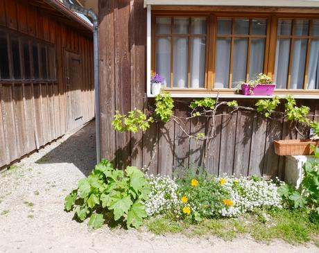 Le village de L’Herbe à Lège-Cap-Ferret (33)