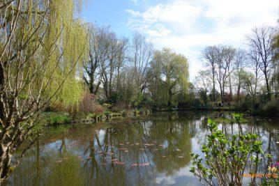 Giverny le bassin