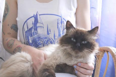 Avada Kedavra...Bitch ! Avada Kedavra...Bitch !