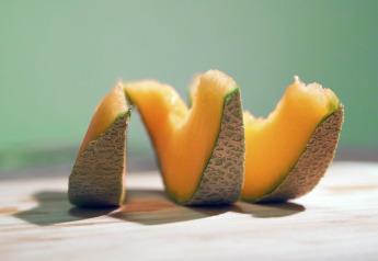 cantaloup (melon).jpg