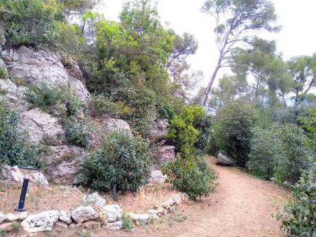 Une nuit dans ma bulle avec Attrap’rêves Une nuit dans ma bulle avec Attrap’rêves