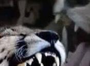 routine spéciale mauvaise hygiène