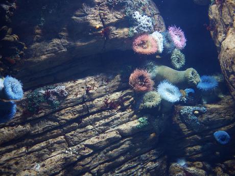 Week-end Go, Trois Jours à Lisbonne