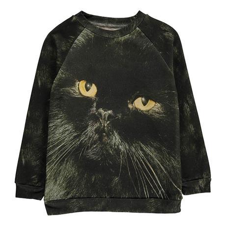 Cat Addict popupshop-cat-sweatshirt