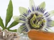 CICATRISATION: phytothérapie peut donner coup pouce Advanced Tissue