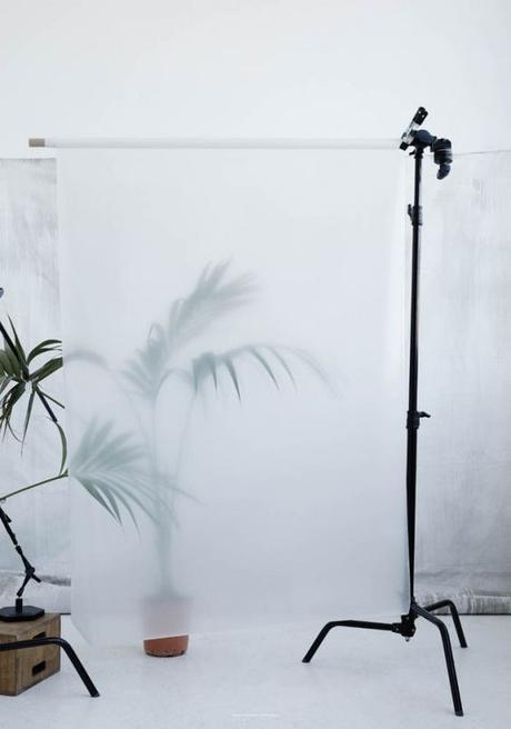 kristina dam studio-photographie-botanic- affiches -poster-urban jungle