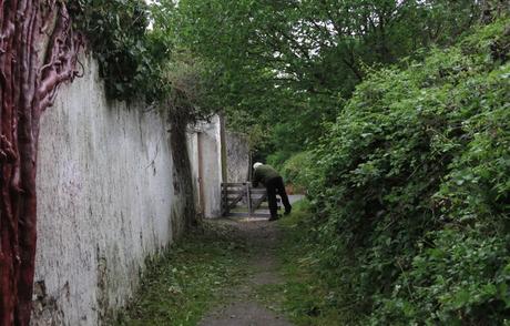 Site des murs à pêches, Montreuil.