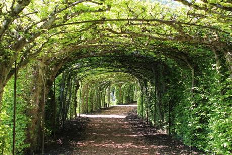 lac thoune_oberhofen (4) (900x600)