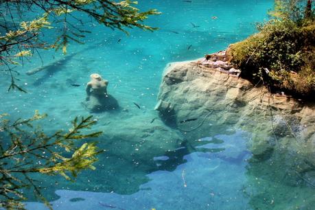 lac bleu_blausee_suisse (6) (900x600)