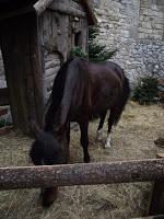 A la recherche du père Noël...