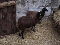 A la recherche du père Noël...