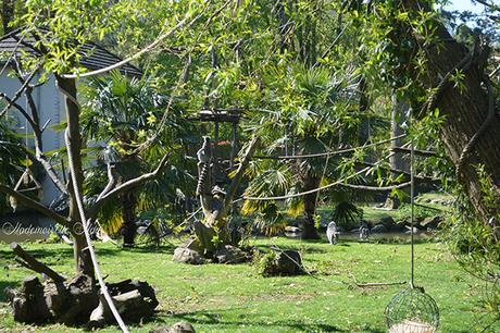 zoo beauval