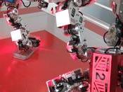 combats robots? c'est animation événementielle chez Cogibot