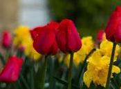 PicsArt transforme photos prises avec votre smartphone oeuvres d'art