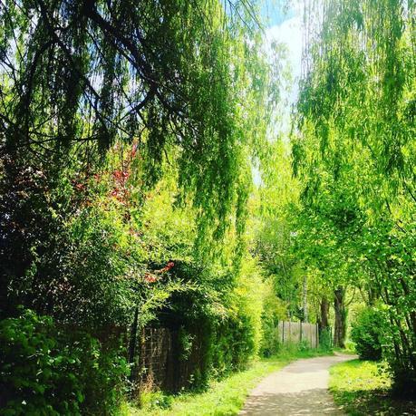 J'aime / J'aime pas Les bords de Sèvre