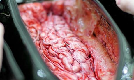 Choc : voilà ce qu’il se cache derrière les sacs en cuir !