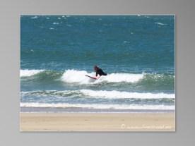 surf a Torquay - la vague