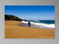 surf a Torquay - bells beach