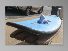 surf a Torquay - la mascotte